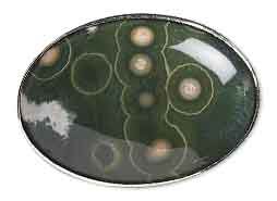 Cabochon in a setting